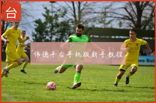 伟德平台手机版新手教程
